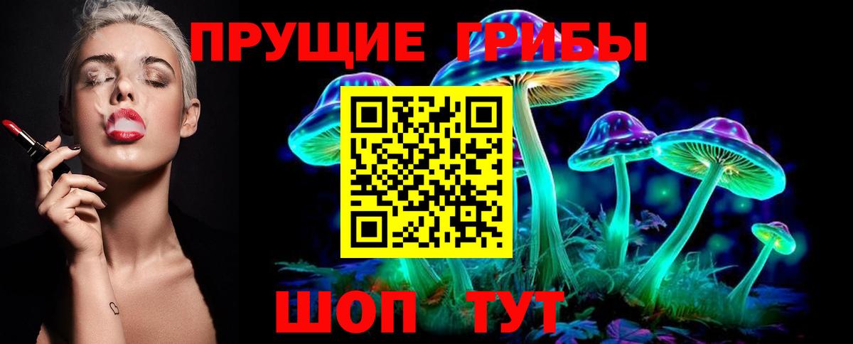 Галлюциногенные грибы Psilocybe Нововоронеж